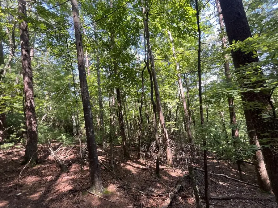 P 10 Gold Mine Drive, Ellijay, GA 30536 - #3
