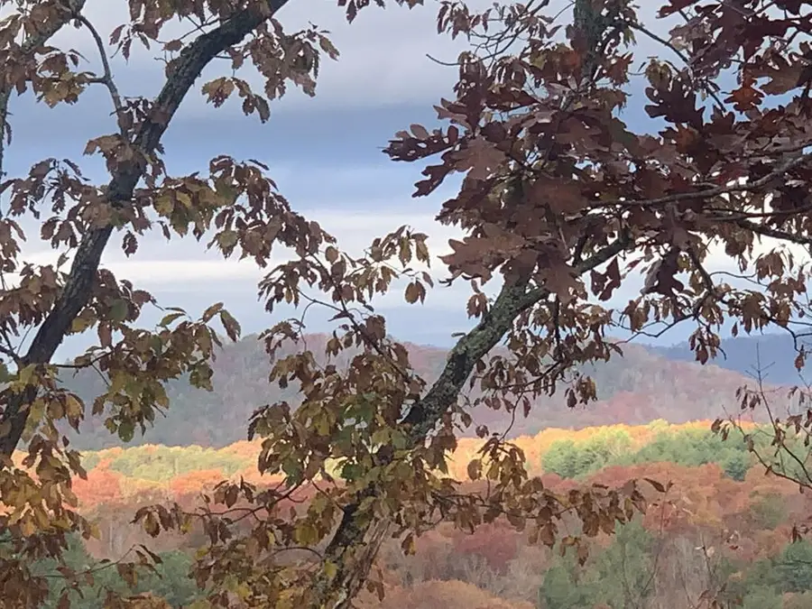 Lot 26 Grand Laurel, Brasstown, NC 28902 - #3