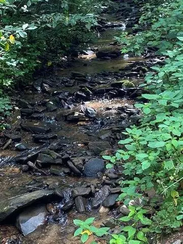 00 Seven Springs Road, Ellijay, GA 30540