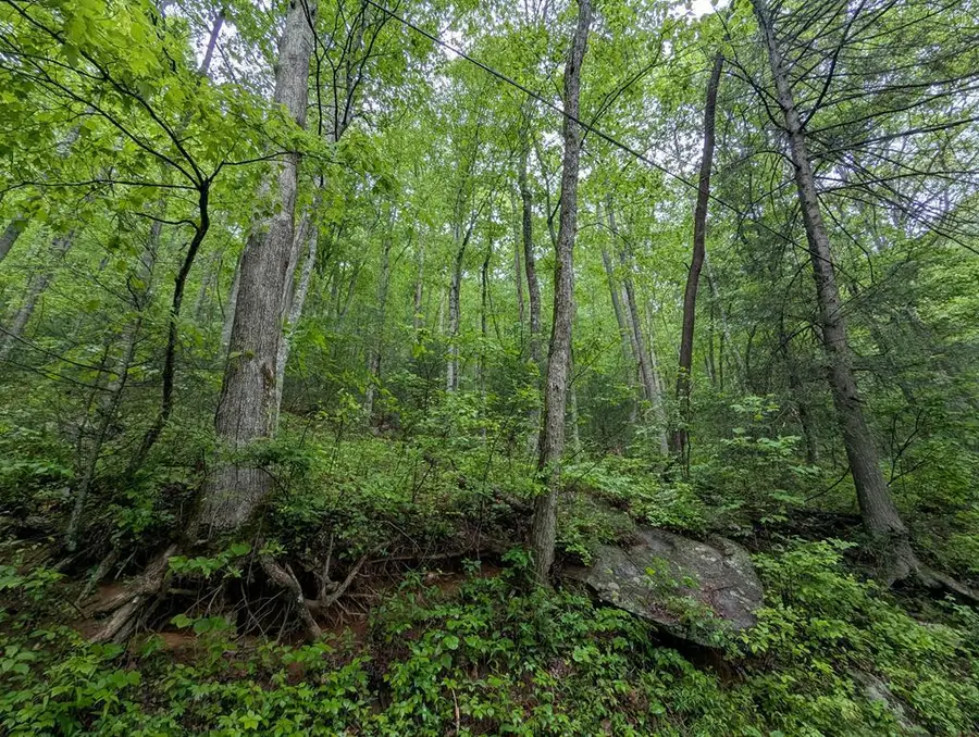Address Withheld By Seller, Ellijay, GA 30536 - #2