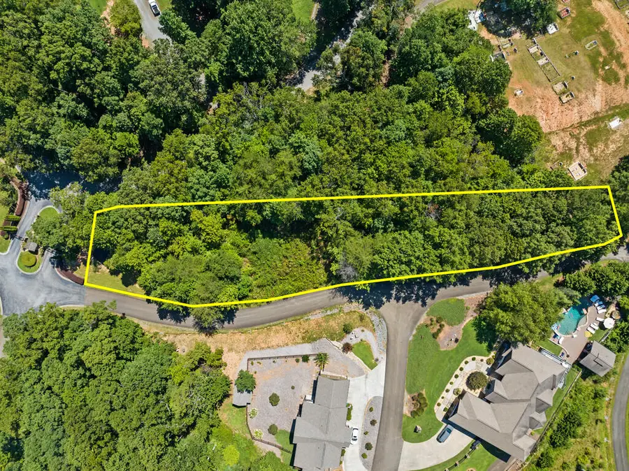 Lot 26 Staurolite Mountain Road, Blue Ridge, GA 30513 - #2