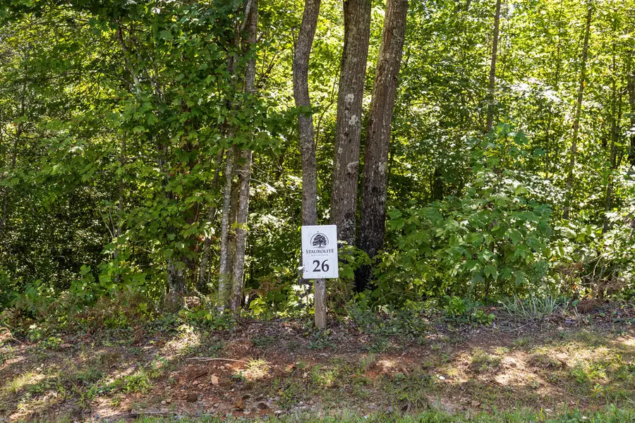 Lot 26 Staurolite Mountain Road, Blue Ridge, GA 30513 - #3