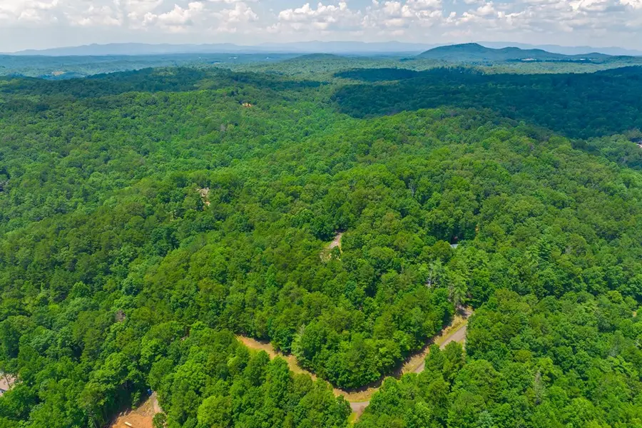 Lot 103R Mountain Creek Hollow Drive, Talking Rock, GA 30175 - #3