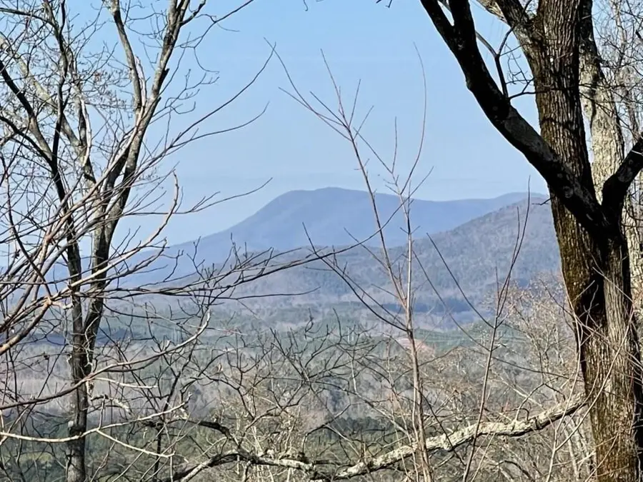 278 Carters Overlook Drive, Ranger, GA 30734 - #2