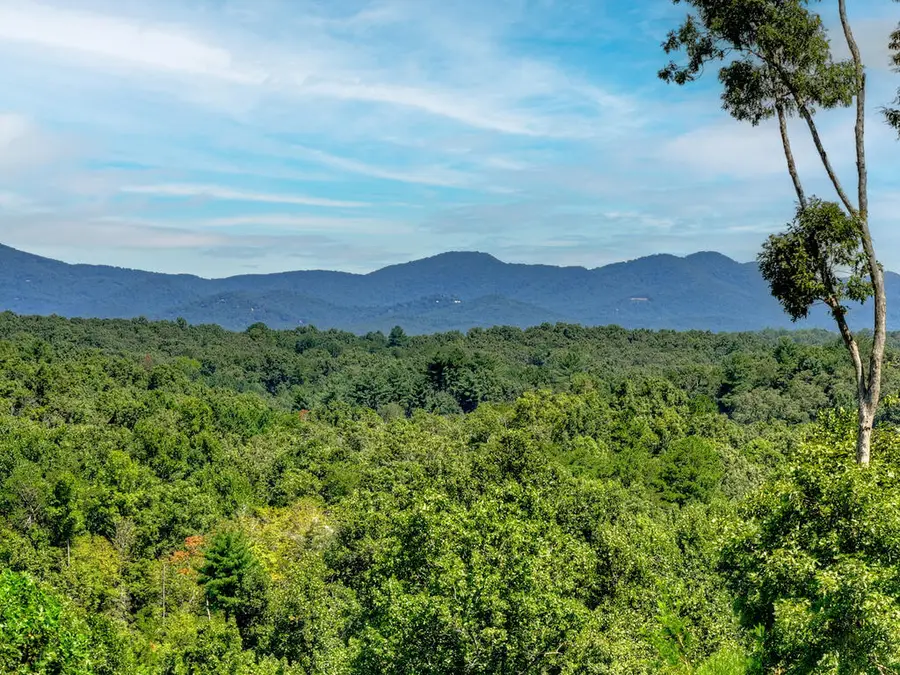 320 Amber Ridge, Blue Ridge, GA 30513 - #2