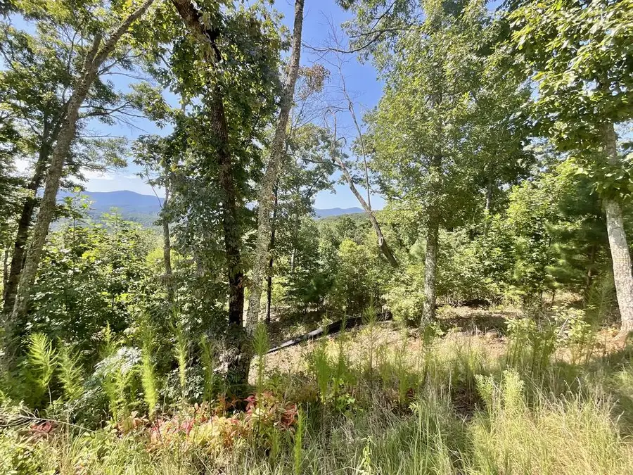 Lot 129 Winding Ridge, Blairsville, GA 30512 - #2
