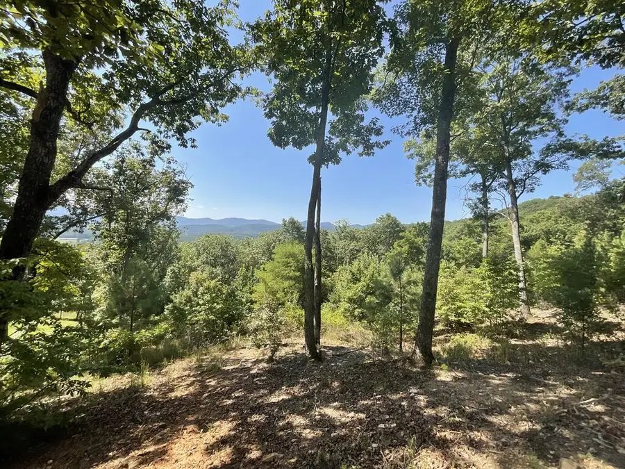 Lot 129 Winding Ridge, Blairsville, GA 30512 - #3