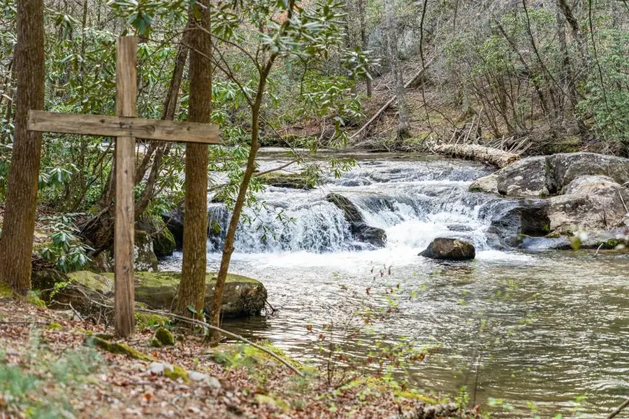 164 Water Dance Trail, Blue Ridge, GA 30513 - #2