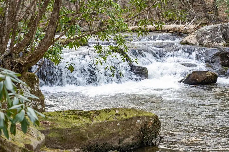 164 Water Dance Trail, Blue Ridge, GA 30513 - #3