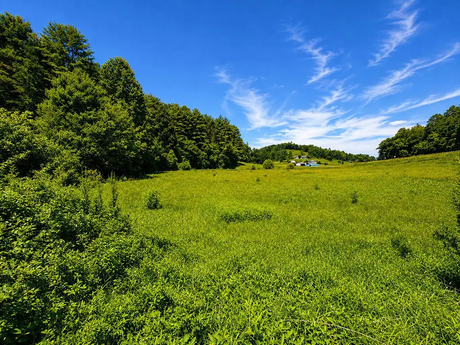 01 Sunny Point Road, Murphy, NC 28906 - #2