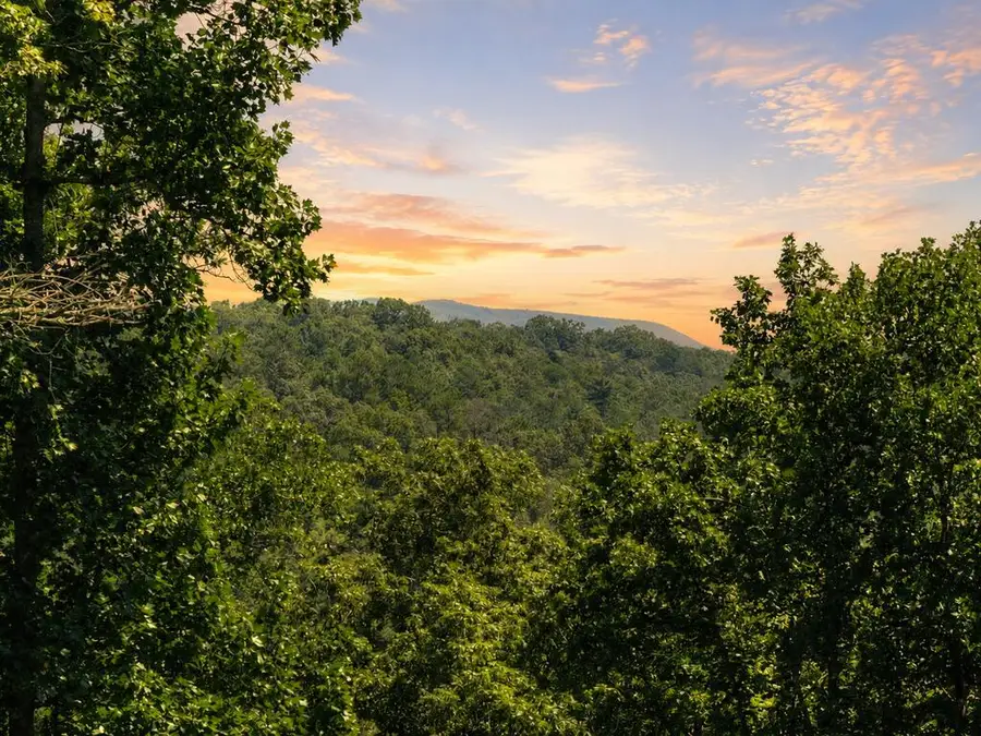 196 N Jakes Landing Way, Ellijay, GA 30540 - #3