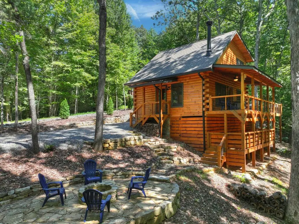 407 Arrowhead Pass, Cherry Log, GA 30522 - #1