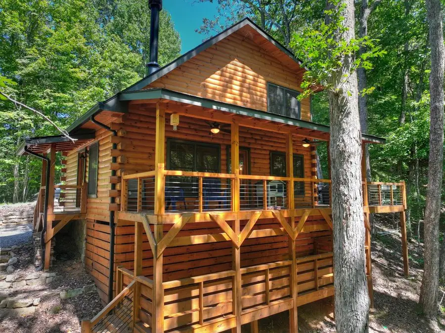 407 Arrowhead Pass, Cherry Log, GA 30522 - #2