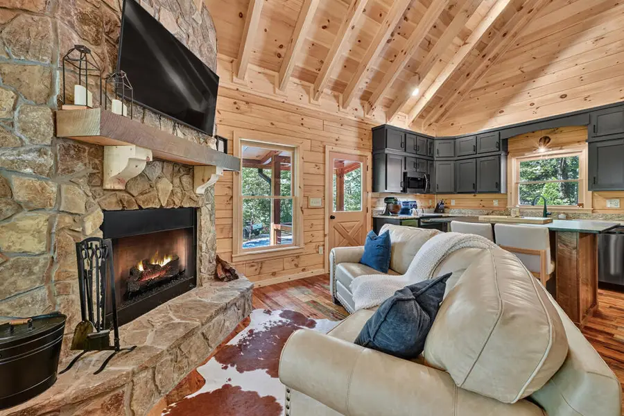 407 Arrowhead Pass, Cherry Log, GA 30522 - #3