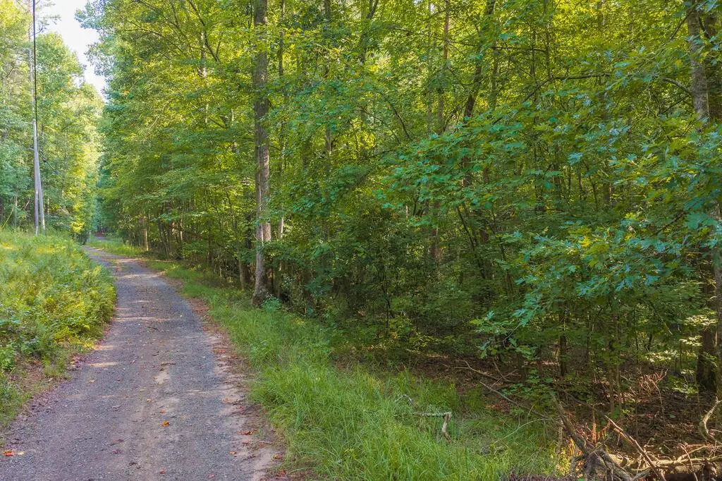 0 Wildwood Trail, Talking Rock, GA 30175 - #1