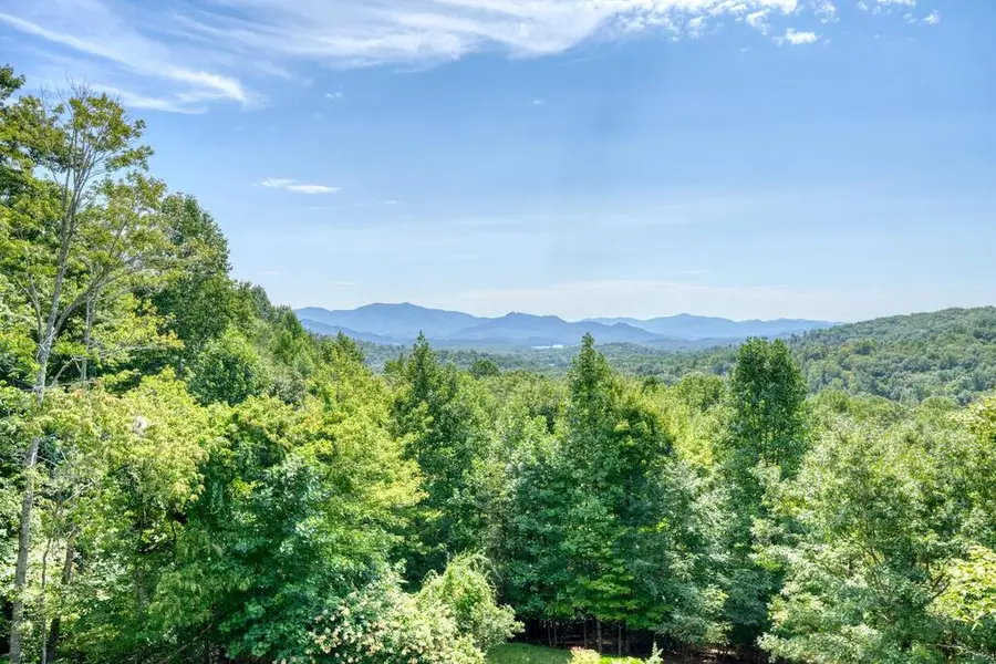 51 Sourwood Lane, Hayesville, NC 28904 - #2