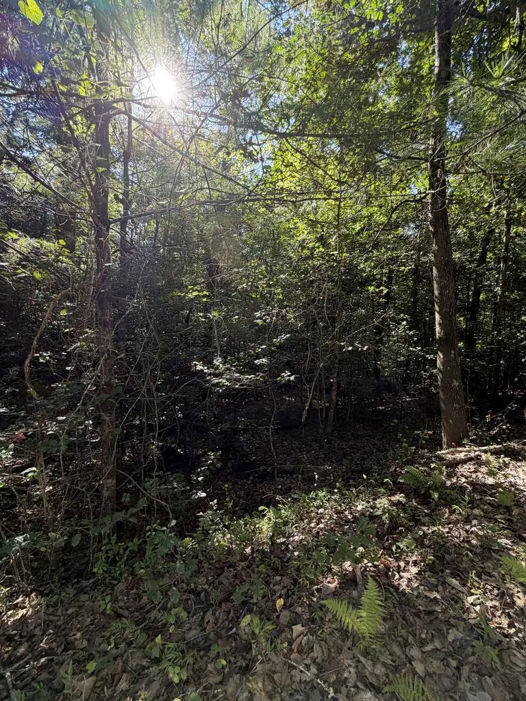 0 Explorer Ridge, Beaverdam, NC 28906 - #1