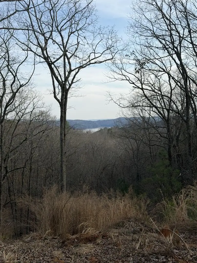 439 Buck Creek Road, Ellijay, GA 30540 - #1