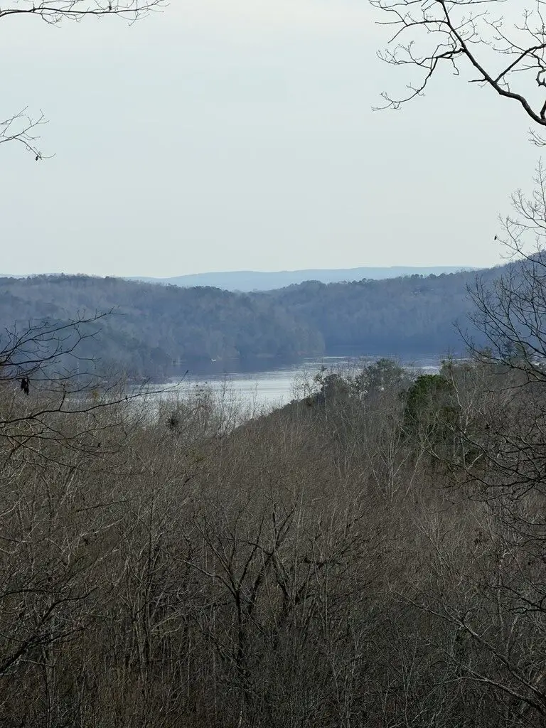 439 Buck Creek Road, Ellijay, GA 30540 - #2