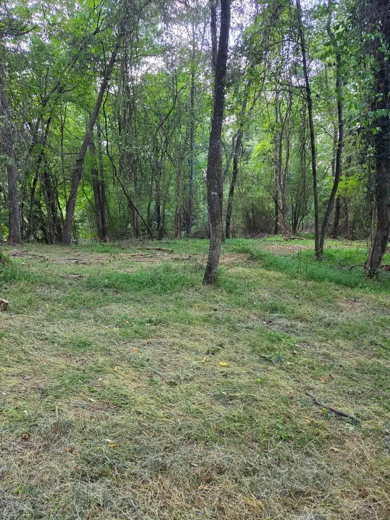 Lot 1 Thurman Street, McCaysville, GA 30555 - #1