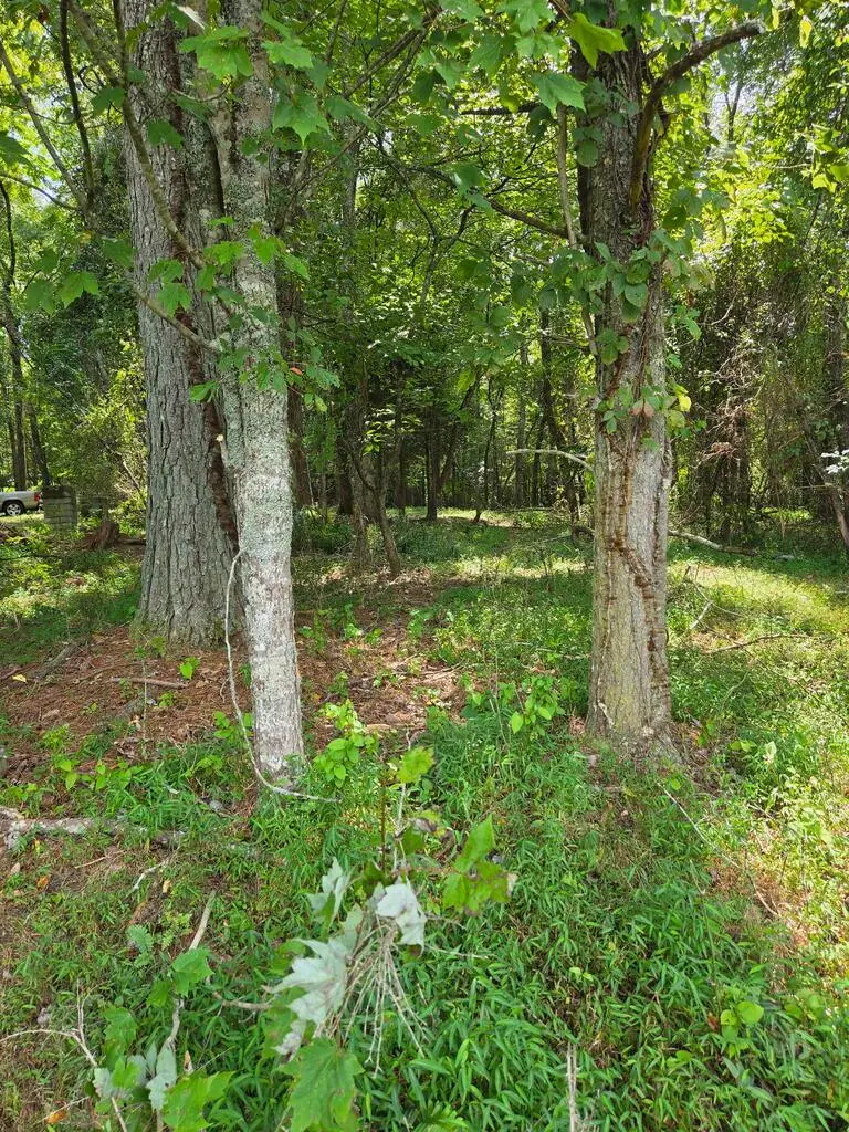 Lot 1 Thurman Street, McCaysville, GA 30555 - #2