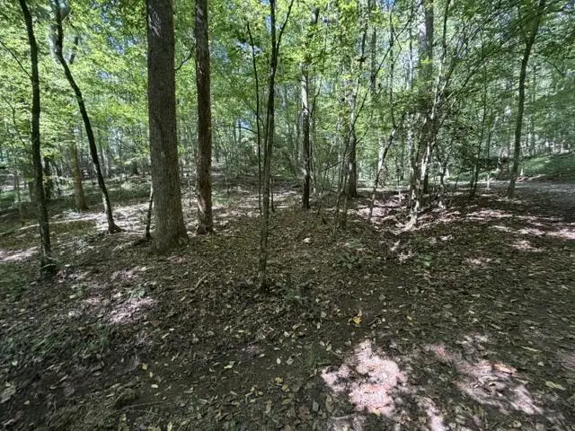 Tr. B&C Bear Hollow Way, Cherry Log, GA 30522 - #1