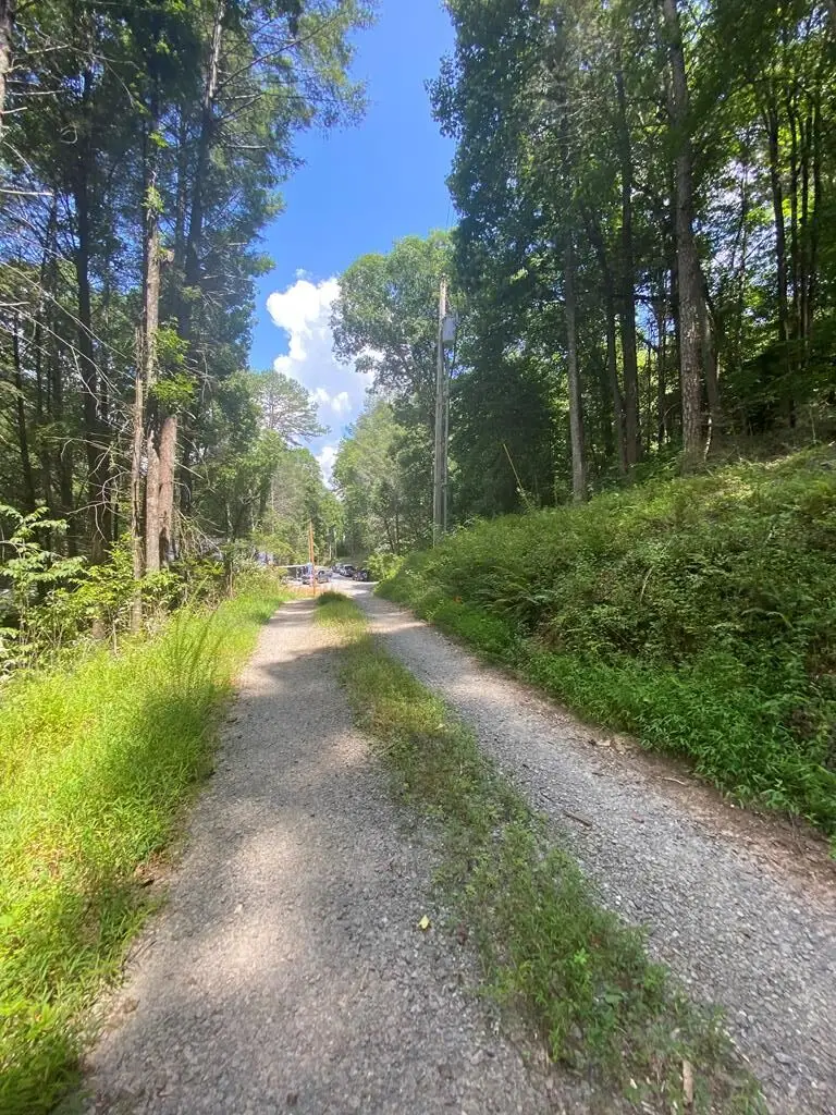 Address Withheld By Seller, Blue Ridge, GA 30513 - #1