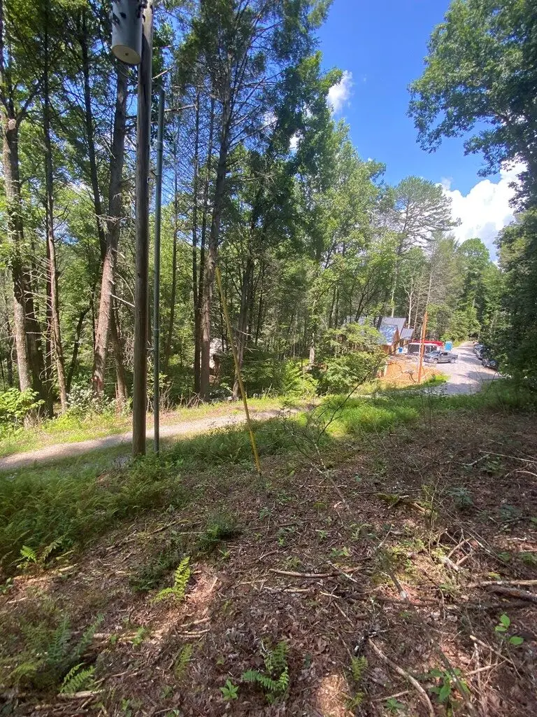 Address Withheld By Seller, Blue Ridge, GA 30513 - #3