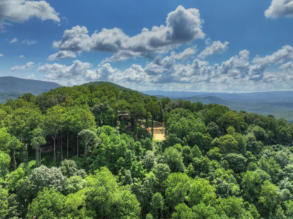 LT H130 Walnut Mountain, Ellijay, GA 30536 - #1