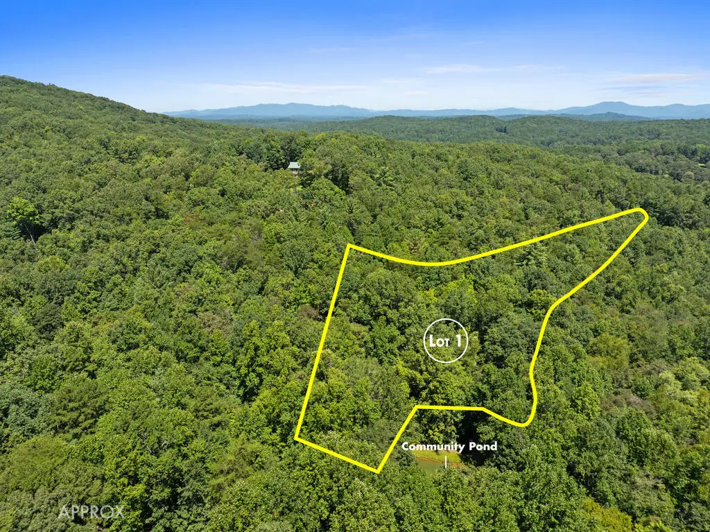 Lot 1 Natures Way, Blue Ridge, GA 30513 - #1