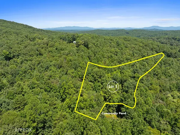 Lot 1 Natures Way, Blue Ridge, GA 30513
