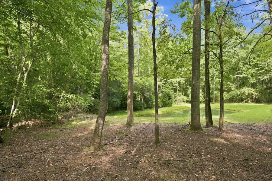 Lot 1 Natures Way, Blue Ridge, GA 30513 - #2