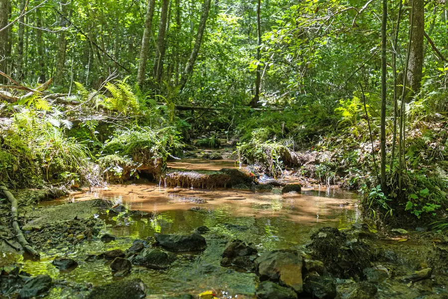 Lot 1 Natures Way, Blue Ridge, GA 30513 - #3