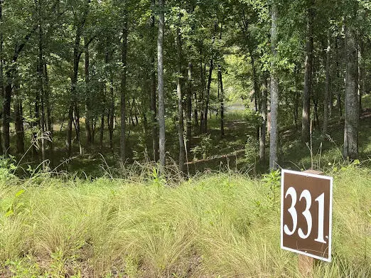 331 Rushing River Road, Talking Rock, GA 30175 - #3