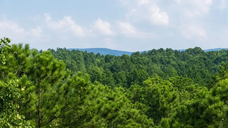 LT160 Shallow Water Trail, Talking Rock, GA 30175 - #2