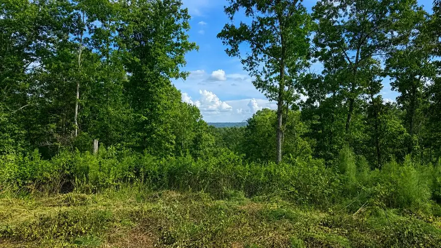 LT160 Shallow Water Trail, Talking Rock, GA 30175 - #3