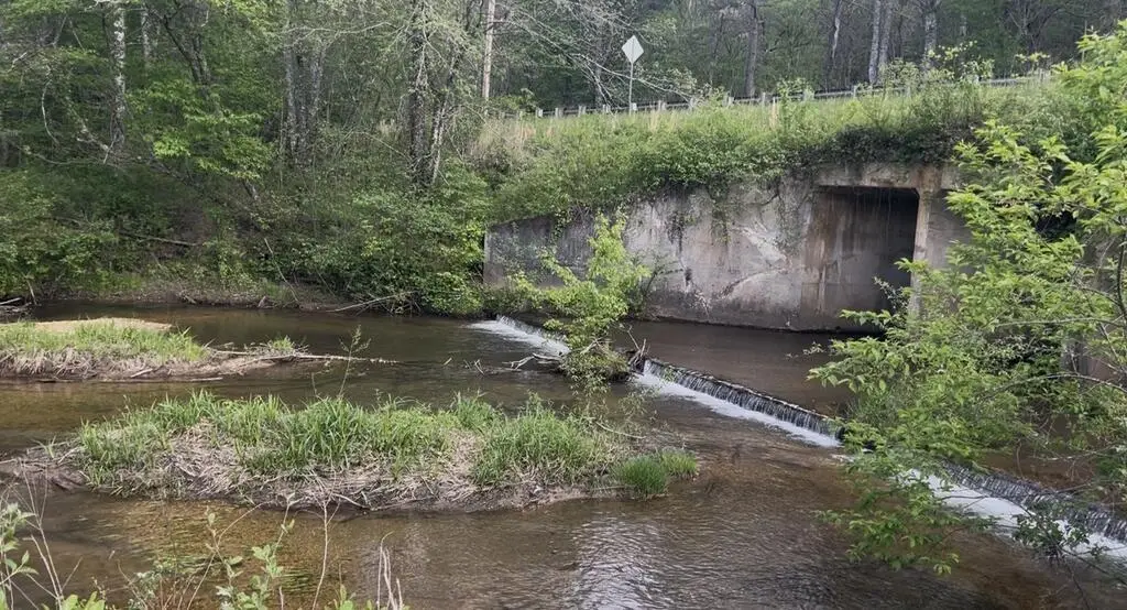 Track19A Hwy 2, Blue Ridge, GA 30513 - #1