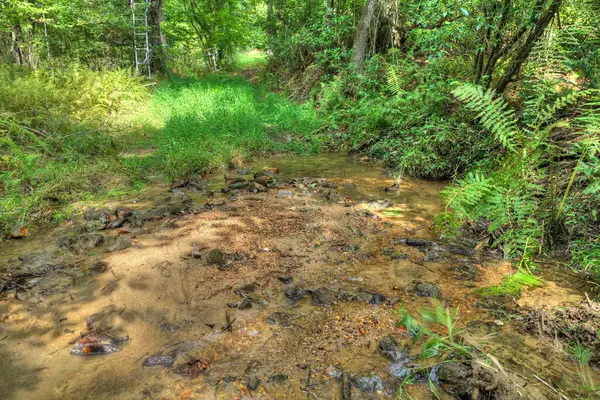 4.70 ac Chestnut Gap Lane, Blue Ridge, GA 30513