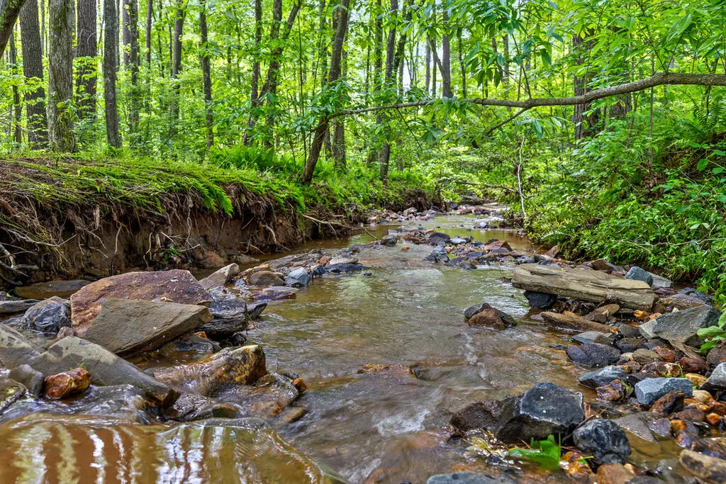 Lot 331 Twisted Oak Road, Talking Rock, GA 30175 - #1