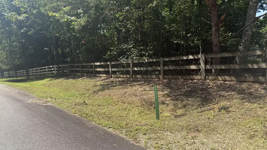 259 Spring Hills Lane, Blairsville, GA 30512 - #3