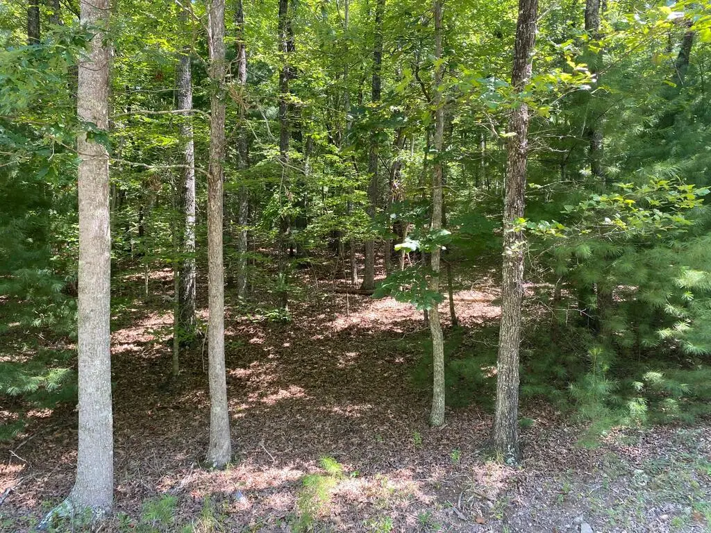 6.93 AC Timber Ridge Road, Blairsville, GA 30512 - #1