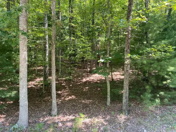6.93 AC Timber Ridge Road, Blairsville, GA 30512