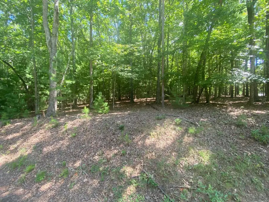6.93 AC Timber Ridge Road, Blairsville, GA 30512 - #2