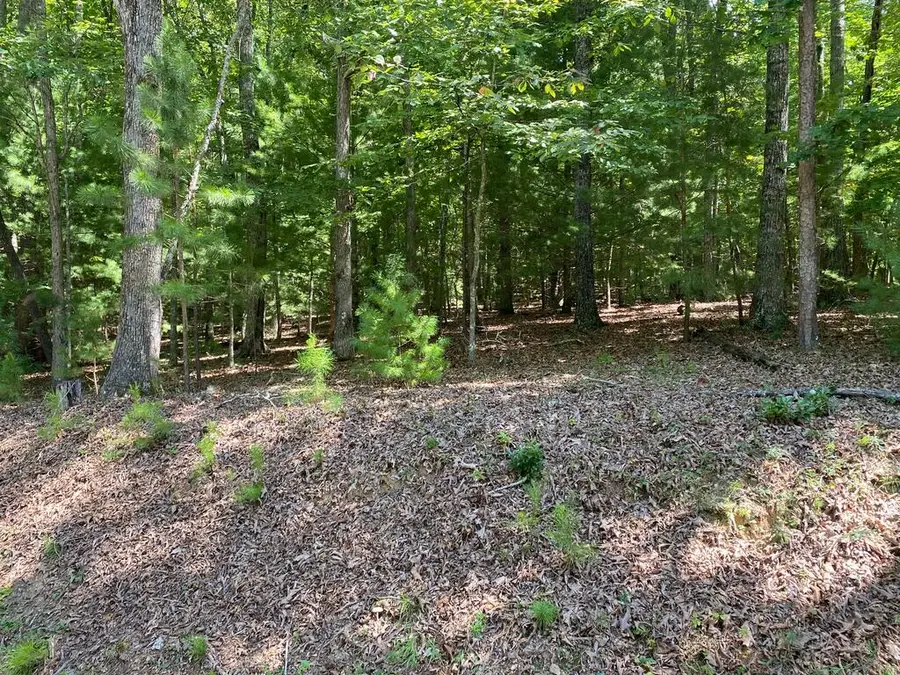 6.93 AC Timber Ridge Road, Blairsville, GA 30512 - #3
