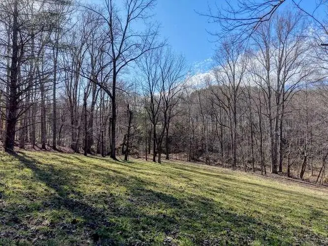 Lot 6, 7 Duncan Mill, Blairsville, GA 30512 - #1