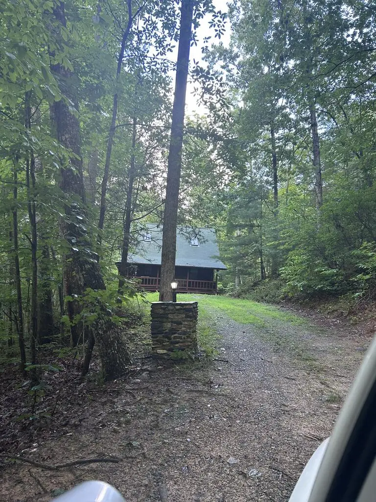 14 Treetop Lane, Blairsville, GA 30512 - #2