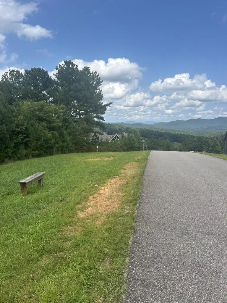 Lt 378 Marshall Rise Road, Blairsville, GA 30512 - #3