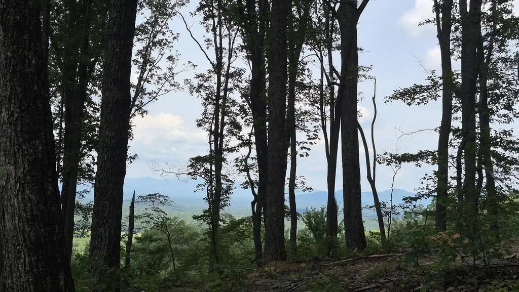 1.5Acres High Summit Drive, South Gilmer, GA 30540 - #1