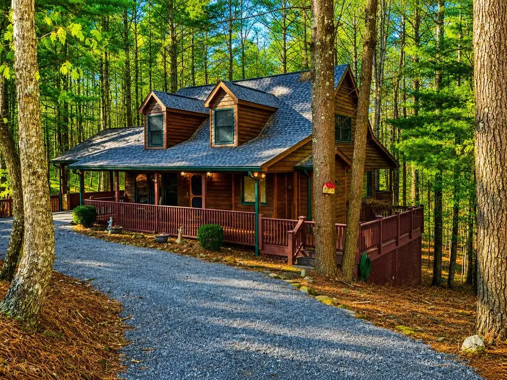 63 Misty Oaks Court, Ellijay, GA 30536 - #1