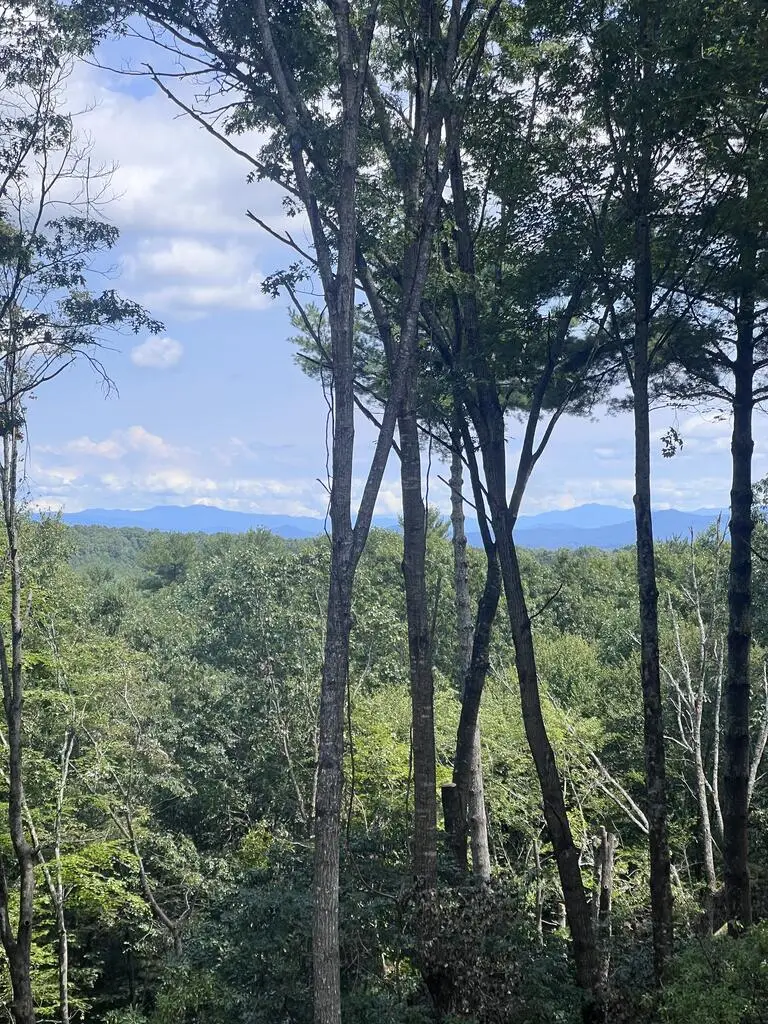 Lot 7 Austin Mountain Road, Mineral Bluff, GA 30559 - #1